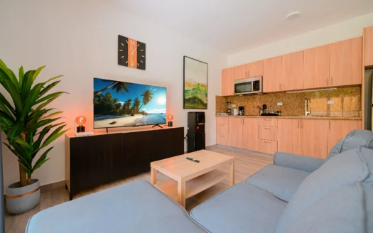 En venta acogedor apartamento de un dormitorio