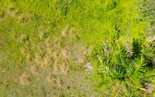 Terreno listo para construir tu casa soñada.